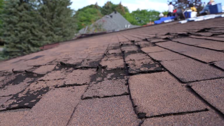 Best 4 Ply Roofing  in Cattaraugus, NY