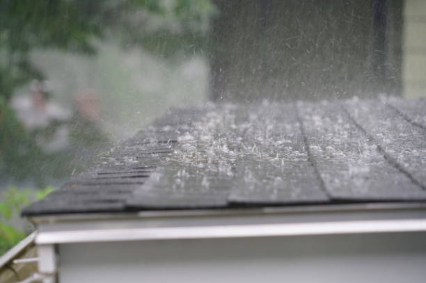 Best Skylight Installation and Repair  in Cattaraugus, NY